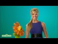 Sesame Street: Nancy Odell: Pollinate Sesame Street: Nancy Odell: Pollinate