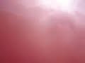 humo ay gasolero mira que distintos somos
