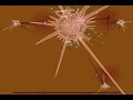 Everyday Shooter - Root Of The Heart