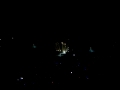 X Japan Live In Bangkok 2011 - Sugizo Violin SOLO