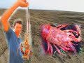 Thumbnail #2