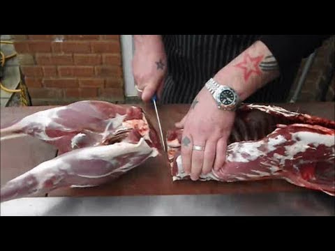 how to properly age deer meat