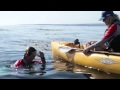 Hobie Mirage Oasis pedaling, sailing and diving off the coast