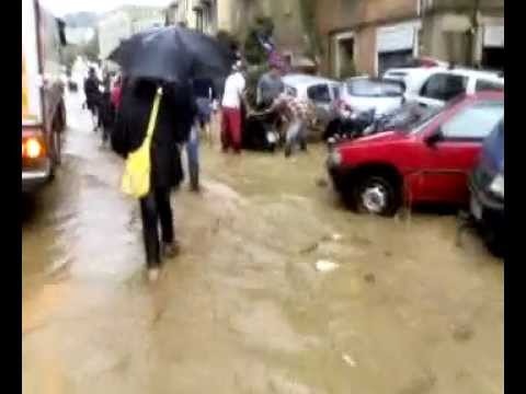 Immagine anteprima YouTube