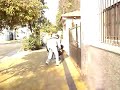 f2007  parte 4 