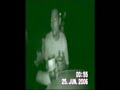 los ciquillos de la noche
