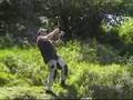 Video ansehen