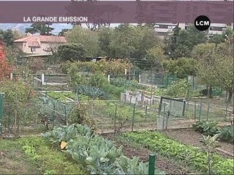 FAMILIAUX - Gros plan sur les jardins familiaux du quartier de Mazargues. Sites webs/blogs, copiez cette vidéo avec le bouton