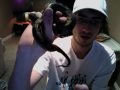 My Motley Boa Constrictor