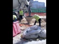 rascacielos en madrid