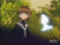 Stay - A CCS Music Video