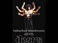 Infected Mushroom - The Doors Remixed / Hello I love you
