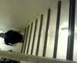 12 stair jump