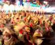 Aliwan Fiesta 2008: Halad Festival of Cotabato