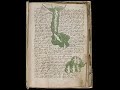Voynich Manuscript (p.2/3) Terence McKenna interview