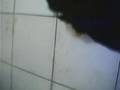 Ipagpatawad mo by VST brothers