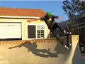Osiris Shoes - Tom Remillard