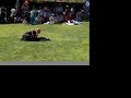 Luo Han Basics (short)