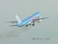 Bird in engine..
