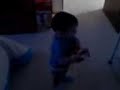 el compita J-6 tocando la abeja miope el compita J-6 tocando la abeja miope