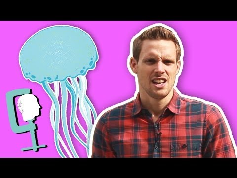 how to relieve pain from jellyfish sting