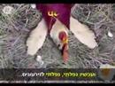 שיר ליום כיפור מאידיאולוגיק