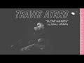 Slow Hands - Niall Horan (Cover by Travis Atreo)