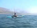 kayak fishing sharks