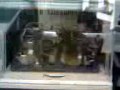 Computational Biology Field Trip-2