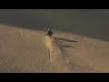 Snowboard Freeride - JP Audisio