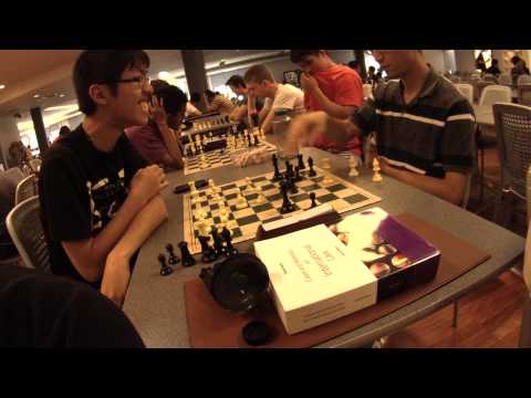 chess knight