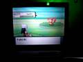 Shiny Skitty With the Pokéradar (4 of 5)