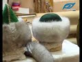 Unique clothes are born at Bashkir combine VMO