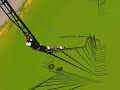 Re: Crazy Coaster Contest 2