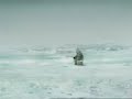 Man Eaten By A Whale