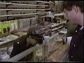 Beastie Boys LTI VHS clip