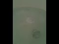 Bath Bomb