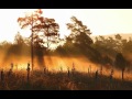 Entspannungsmusik - Chillout - Meditationsmusik - Trance - A New Morning