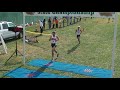 2008 OHSAA Boys Division 3 State Cross Country Championships