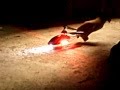 elicoptero ls model 109 - YouTube