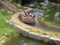Splash Mountain, Keep your arms and legs!