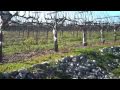 Hook & Ladder Winery Video