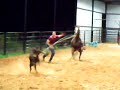 dolly-10yr-old-calf-horse-for-sale.html