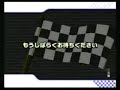 Pro Race No. Y-75