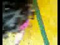 videos de Minha filha