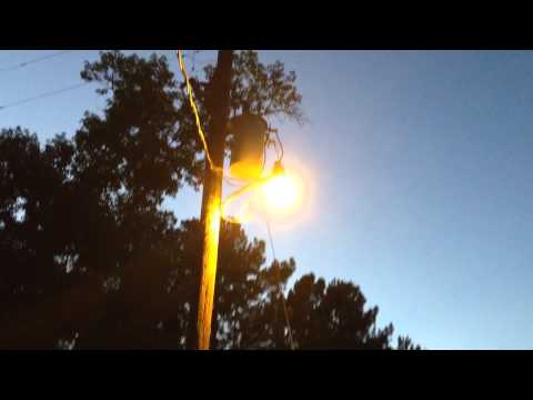 how to get rid skunks