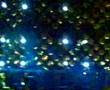 Vasco rossi Genova 2008 Gli spari sopra