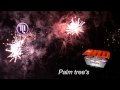 Click here to watch this video Palm tree's - MASTERLINE RubroVuurwerkNL