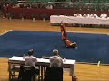 酔拳(醉拳) zuiquan Drunken boxing wushu kungfu