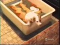 The Great Escape -  Grandes Escapadas